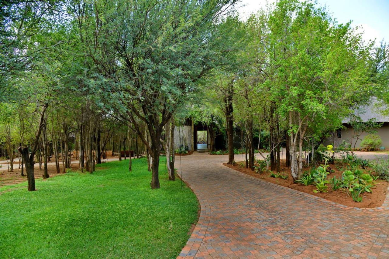 Tambuti Lodge Pilanesberg Kültér fotó