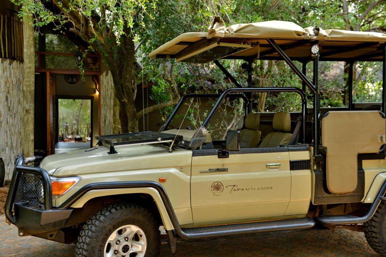 Tambuti Lodge Pilanesberg Kültér fotó